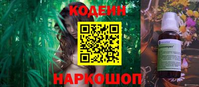 Альфа ПВП Кандалакша