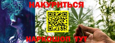 Альфа ПВП Кандалакша