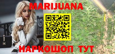 Альфа ПВП Кандалакша