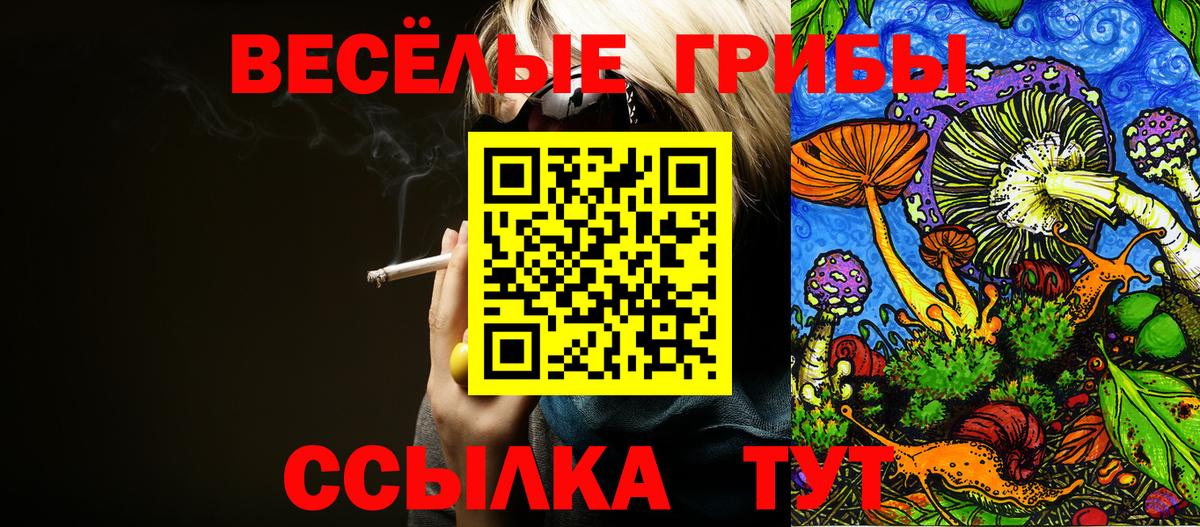 Псилоцибиновые грибы мухоморы  Вход с VPN  Галлюциногенные грибы мухоморы  Туапсе 