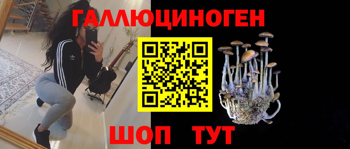 Галлюциногенные грибы Magic Shrooms Туапсе